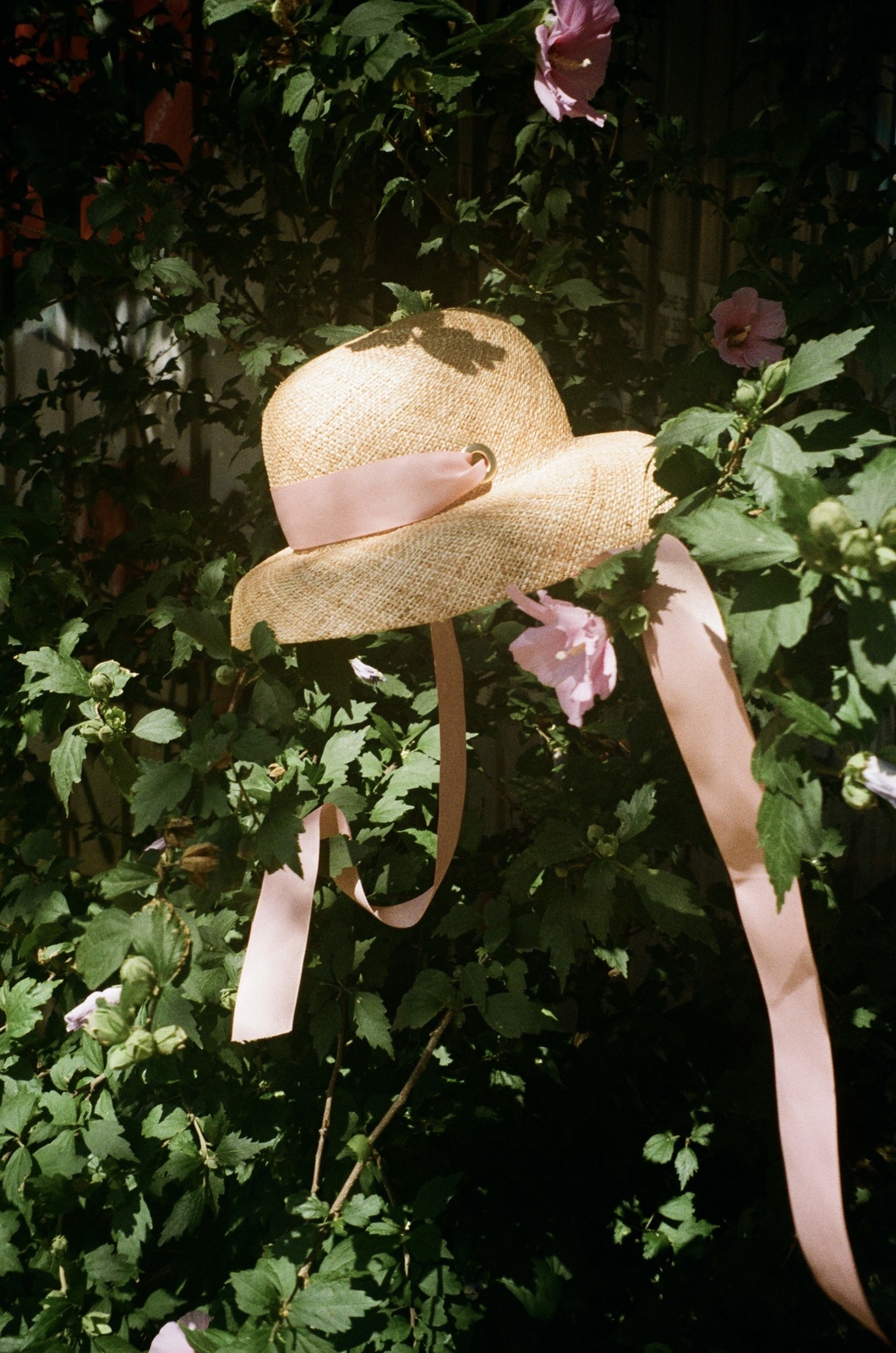 Audrey Raffia Hat