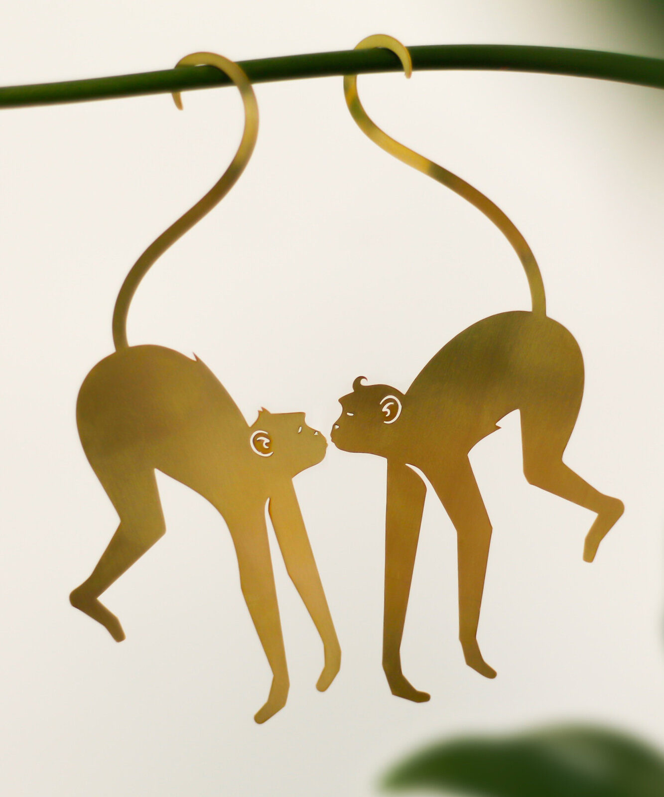 Sanseverian plant hangers