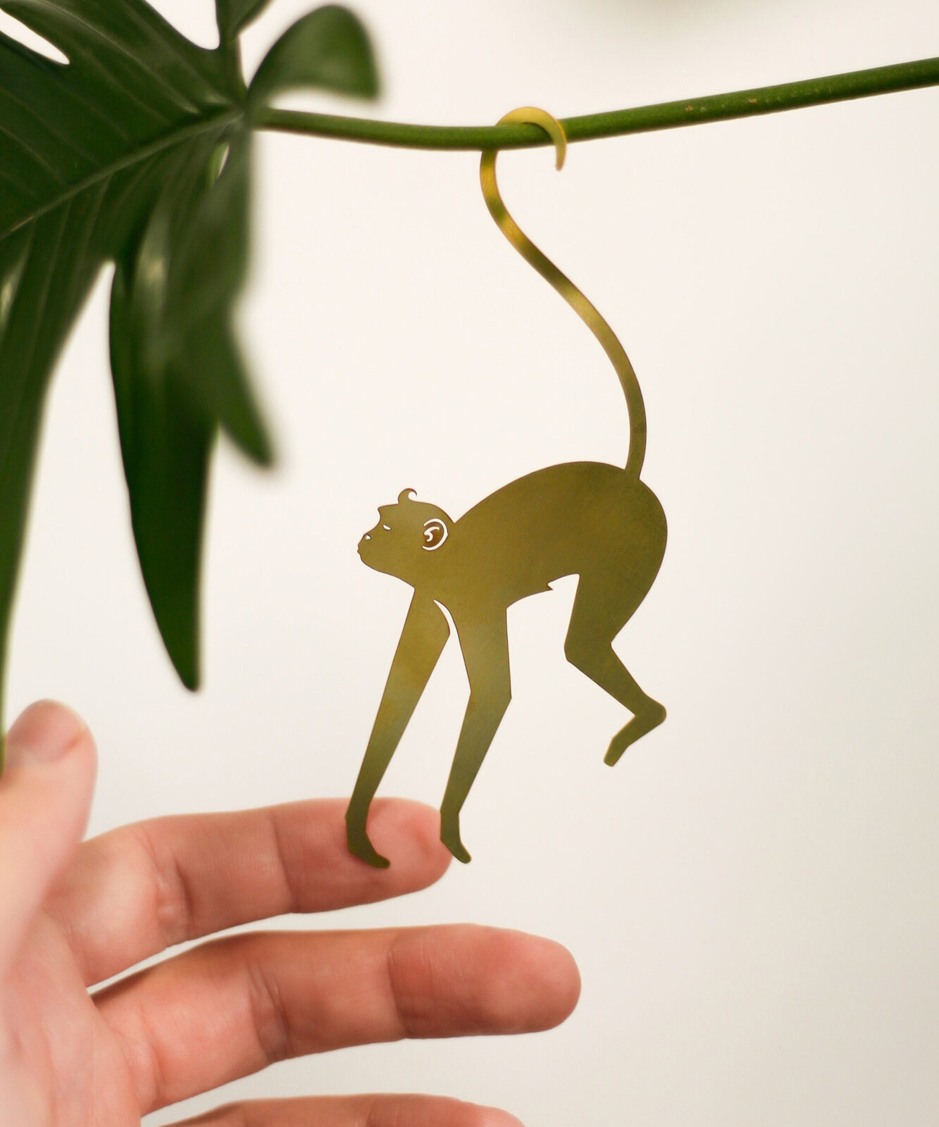 Sanseverian plant hangers